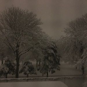 Meet your Posher, Maris